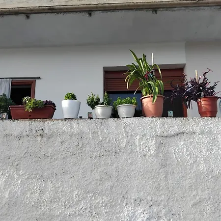 Casa Di Alex Dom wakacyjny *